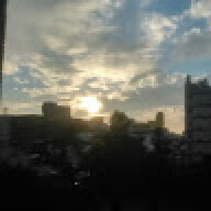yll