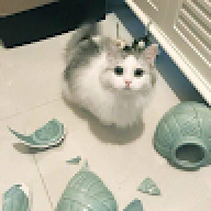 cor