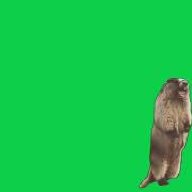 azt