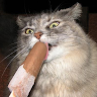 nuge