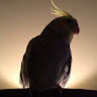 CoreMega