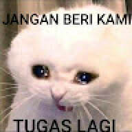 rawrrr