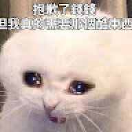 catea223