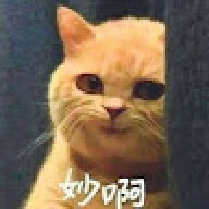 yxb1999