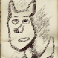 cjdamotts