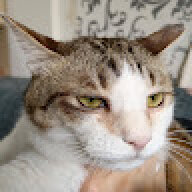 Andy0000