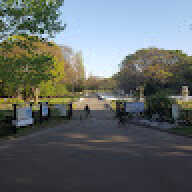 yanado