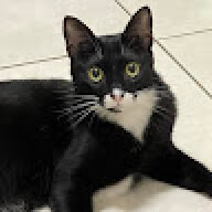 meow00321