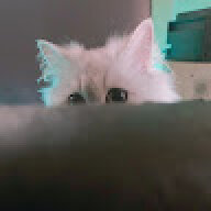 ningning