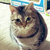 lucy-0213