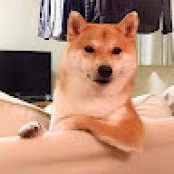 EJI Y7