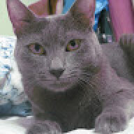 sennorfluffy