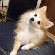 YOSEI
