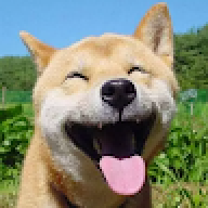 xnxx159i
