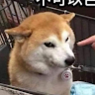 nnnkie