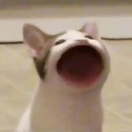lasmas