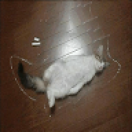 VVVVVV