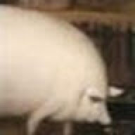 LilPorky