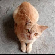 kuixi0987