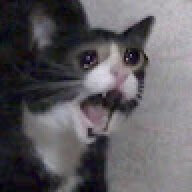 enrlsk