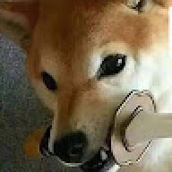 ElpapuPro