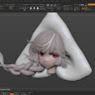 Nguyen2D