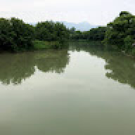 CK11271230