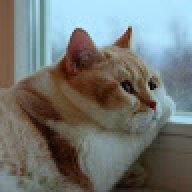 CoastalBean