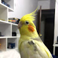 xchusx