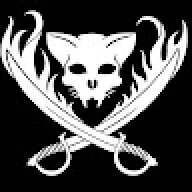 Cat Pirate