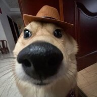 ElDoge3000