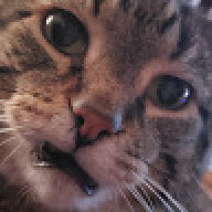 SimplyWaffle