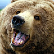 THE BEAR