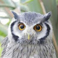 owlpamie