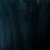 darkwoodww