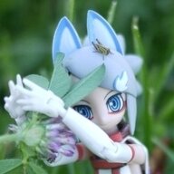 Arcticu