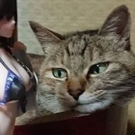 SaitoEnd