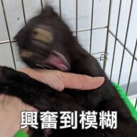 xuanxuan