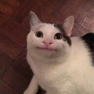 krstrqw