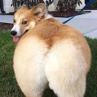 twrntg
