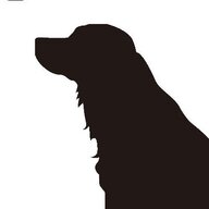 blackdog8492