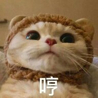 luoluo0w0