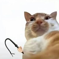 vLL
