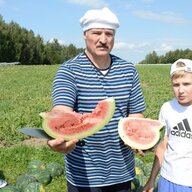 jajkelmakson