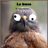 Baalzebuse
