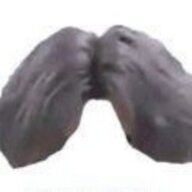 1002280183