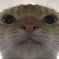 LukiFox