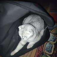 ещкере