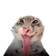 xnite7