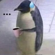 Kg1y